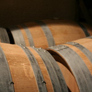 assemblage des vins en Champagne