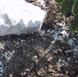 La plantation des vignes dans le terroir de Champagne