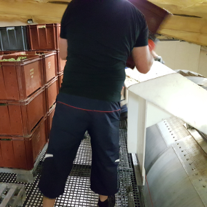 Chargement du pressoir