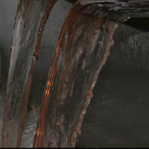 Jus de raisin de pinot noir de champagne